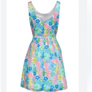 Lilly Pulitzer POSEY DRESS RESORT WHITESPRING FLING best for a size 12.,